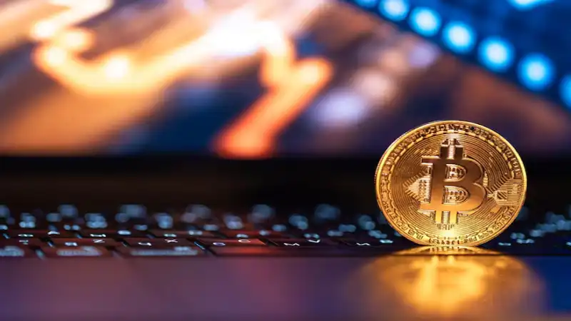 Roarcultable Latest Crypto Trends from Riproar