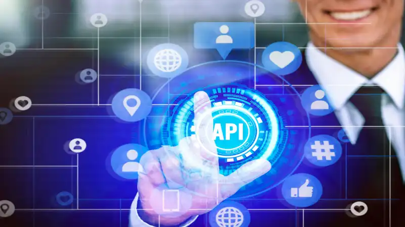 Salesforce API Riproar Types Integration